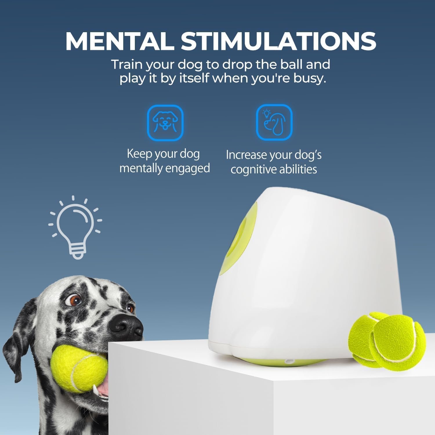 ALL PAWS Lanzador Automático de Pelotas para Perros