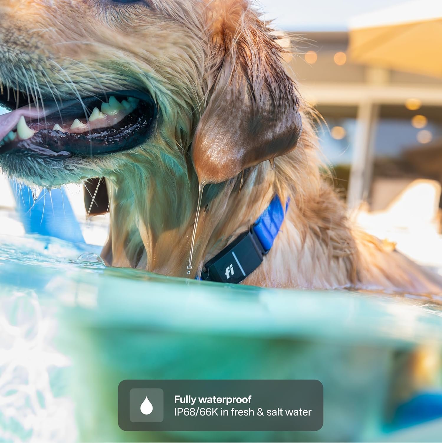 Detalle del Fi Series 2 GPS Tracker en uso