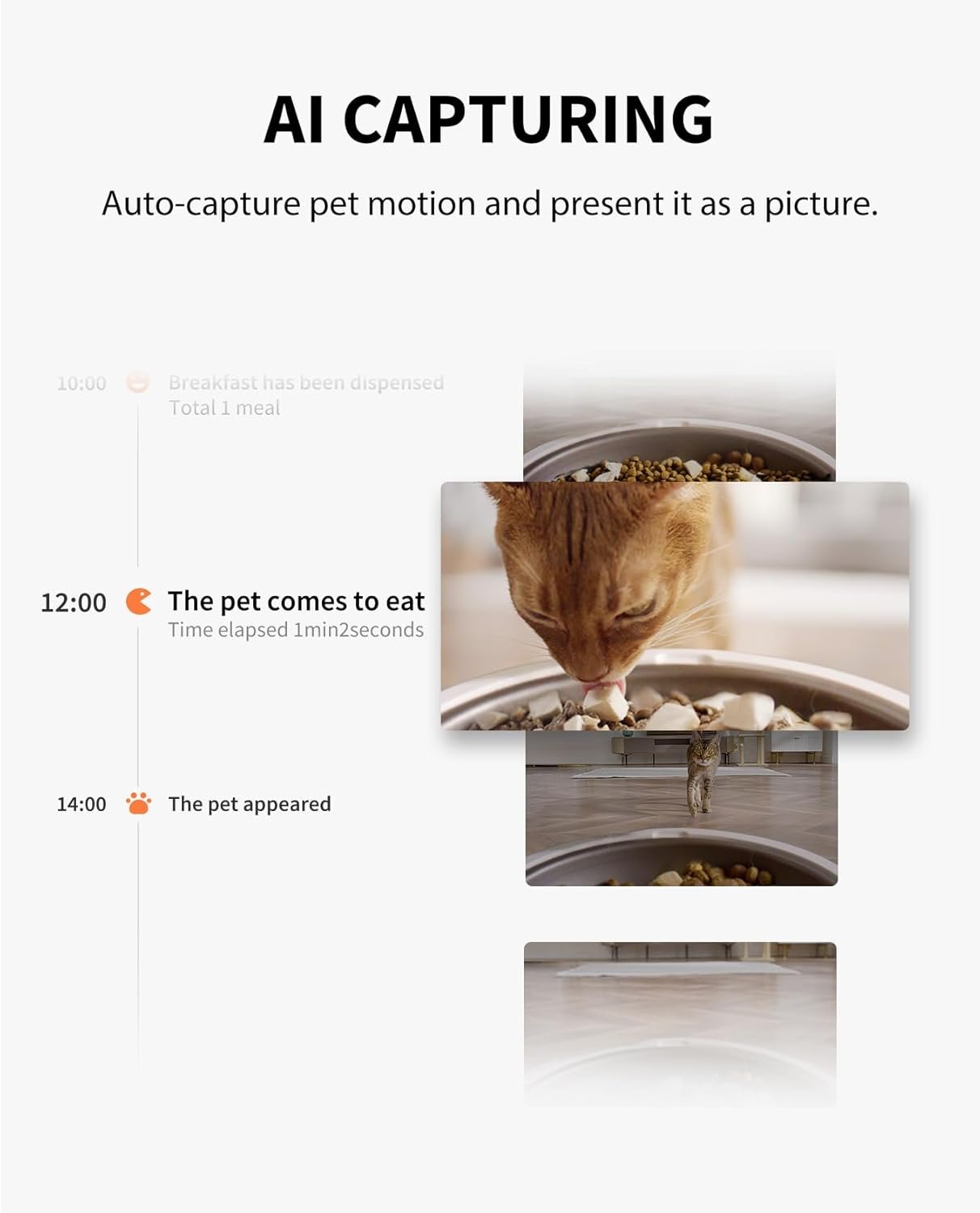 PETKIT Comedero Automático Inteligente para Perros y Gatos